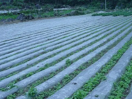 流滴地膜