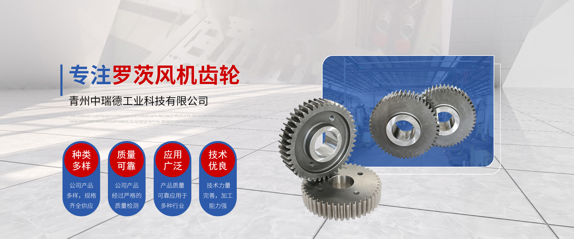 青州中瑞德工业科技有限公司