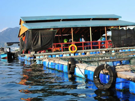 海洋工程水质净化改良