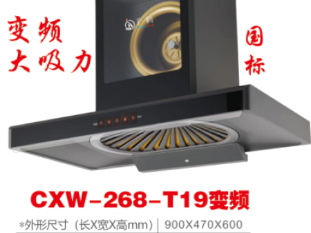 CXW-268-T19变频油烟机