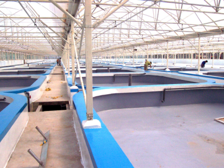 企业微信截图_16547430549145