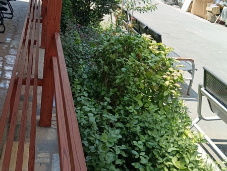 养老院户外环境