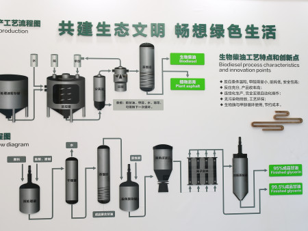酶法生物柴油工艺介绍