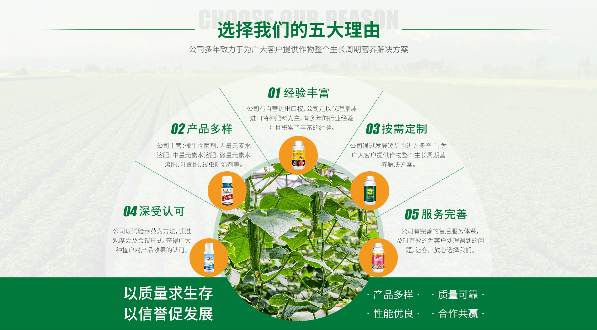 青岛绿蓓康进出口贸易有限公司