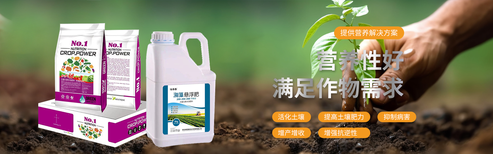 青岛绿蓓康进出口贸易有限公司