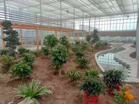 天津市信义玻璃