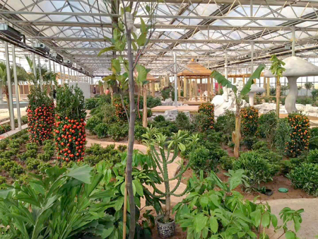 邯郸市白沙村农业示范园