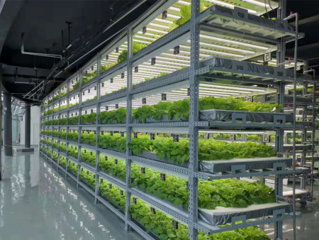 江苏省镇江紫荆庄园