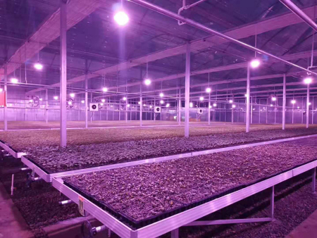 青岛市黄岛区绿色硅谷农业发展有限公司