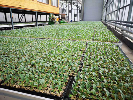 潍坊黄旗堡文山农业园