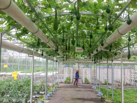 重庆市潼南县农业国家科技示范园