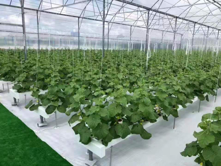 海阳市碧桂园房地产发展有限公司