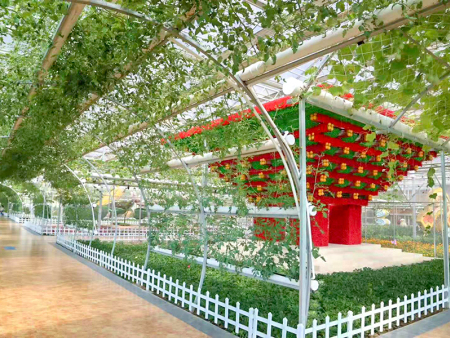 西宁市湟中县田家寨镇千紫园农业航空示范园