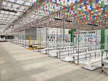 海阳市郭城镇古现村农业示范区