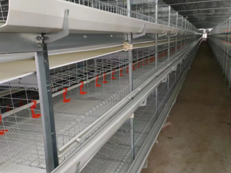 Chicken coop