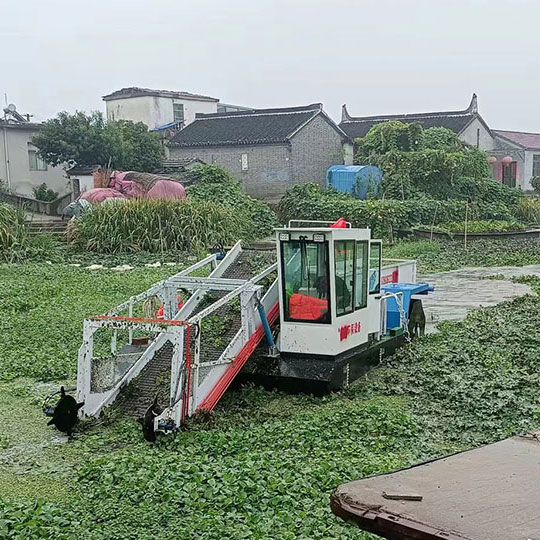 图片01