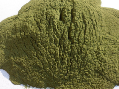 青岛海带粉|青岛海富源生物技术有限公司