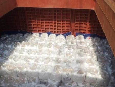 洋浦港-------越南6000吨pta装货