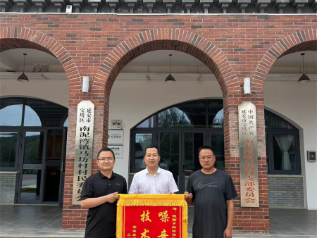 延安市宝塔区南泥湾镇  锦旗