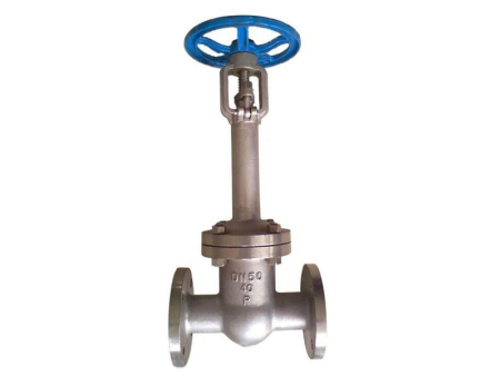 不锈钢加长杆低温闸阀 DZ41W