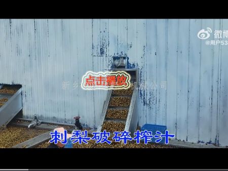 刺梨破碎榨汁