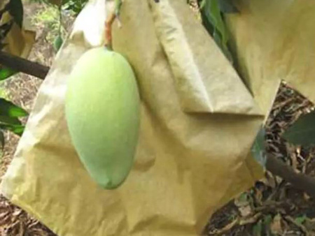 Fruit Bag