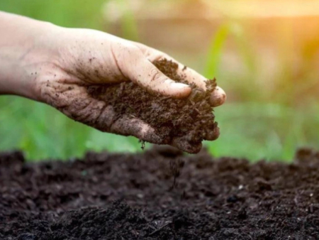 大量元素水溶肥有什么样的特点