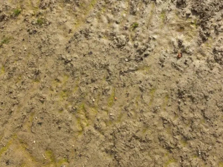 黄腐酸钾都有哪些作用