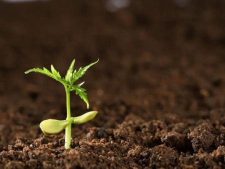 化肥流失该怎么办