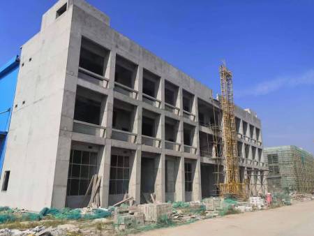 荊州開發區國 家汽車智能轉向系統質量監督檢驗中心二期項目