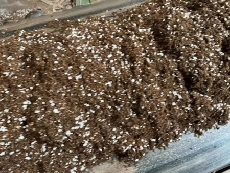 發(fā)貨現(xiàn)場