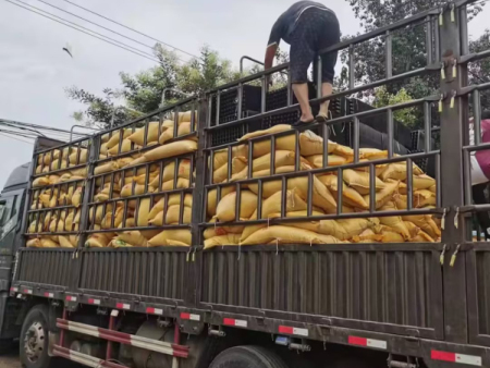 發(fā)貨現(xiàn)場