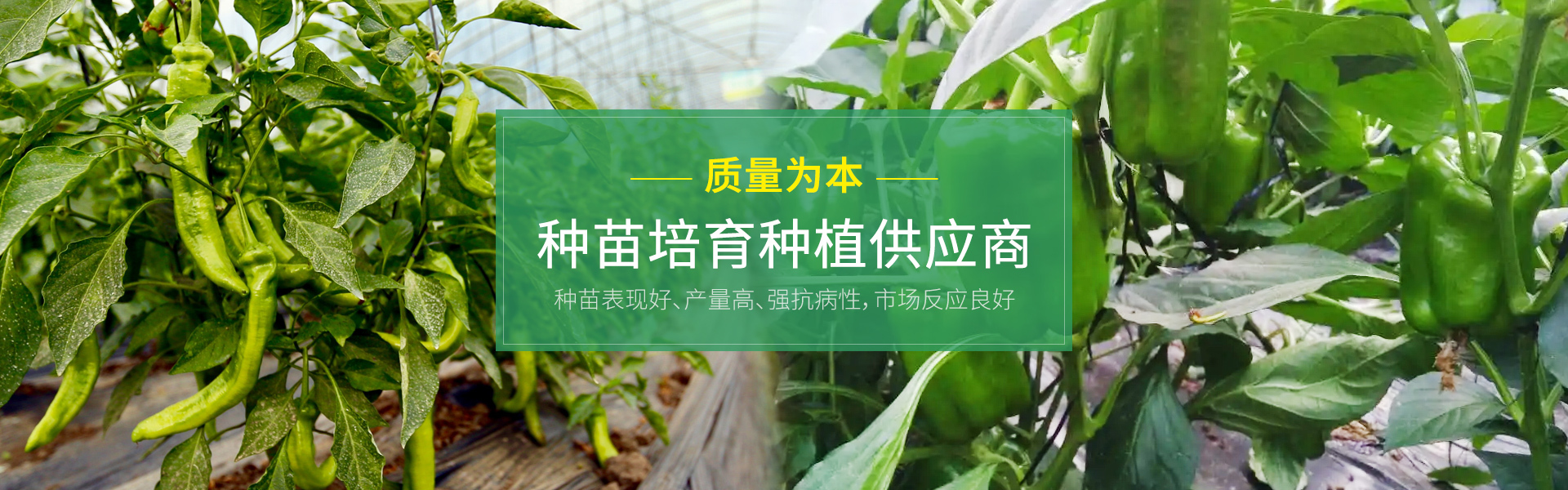 青州市康美农业发展有限公司