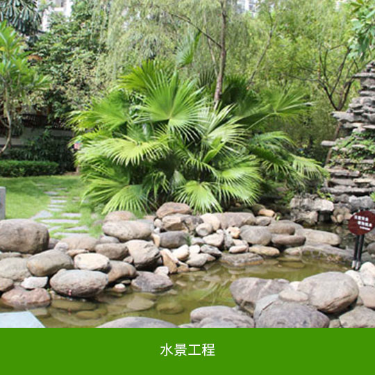 图片01