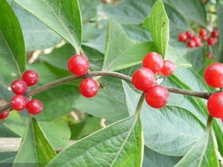 Q`DP_FRUDQP]~(JC8)92R2Y