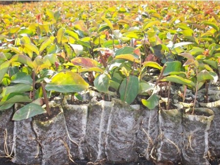 AZB[ZXRYM9UEM7XMVY8RO)5