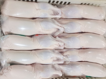 冷冻鸭体
