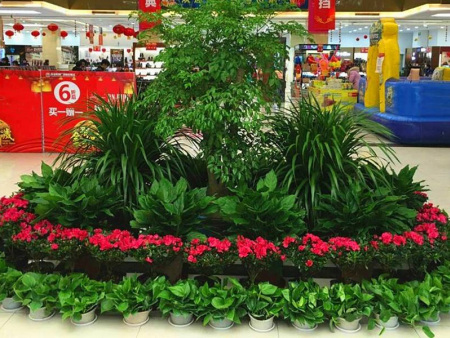 花卉租摆
