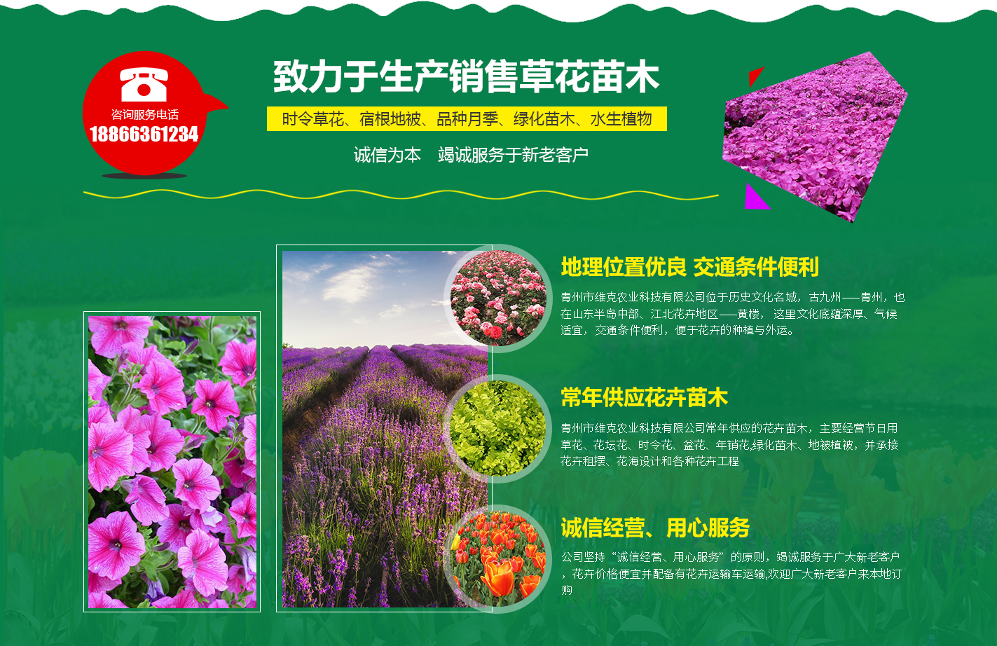 青州市润泽温室园艺有限公司的产品