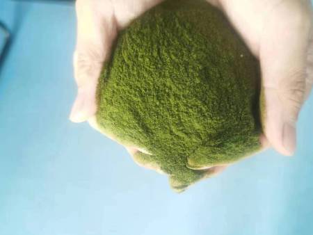 浒苔粉
