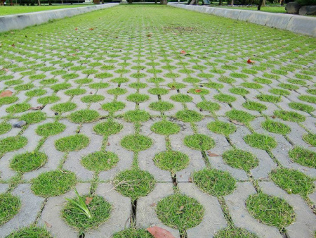 植草砖效果