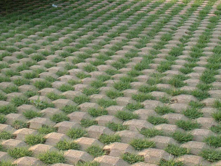 植草砖效果