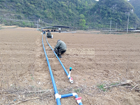 广西有几家公司做滴灌设计安装的 有卖灌溉设备