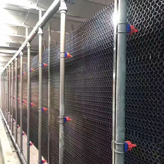 图片01