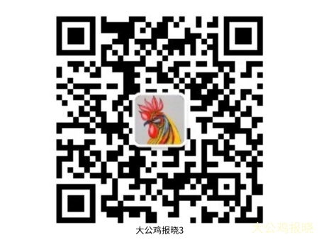 微信扫码关注《大公鸡报晓3》