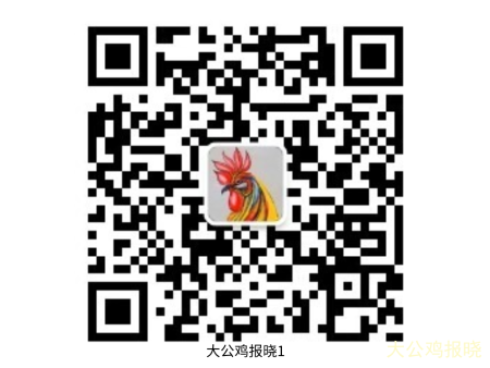 微信扫码关注《大公鸡报晓1》