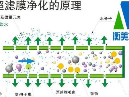 超滤膜净化原理