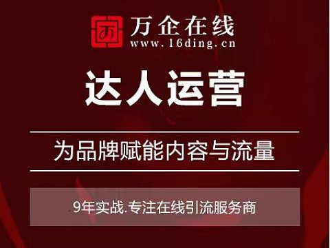 达人运营