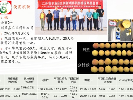 南京农业大学：ALA上调PpWRKY18提高油桃雌蕊抗冻能力