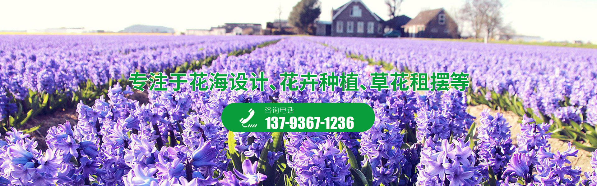 青州昌润园林绿化有限公司_青州绿化苗木,青州花卉工程,温室大棚承建